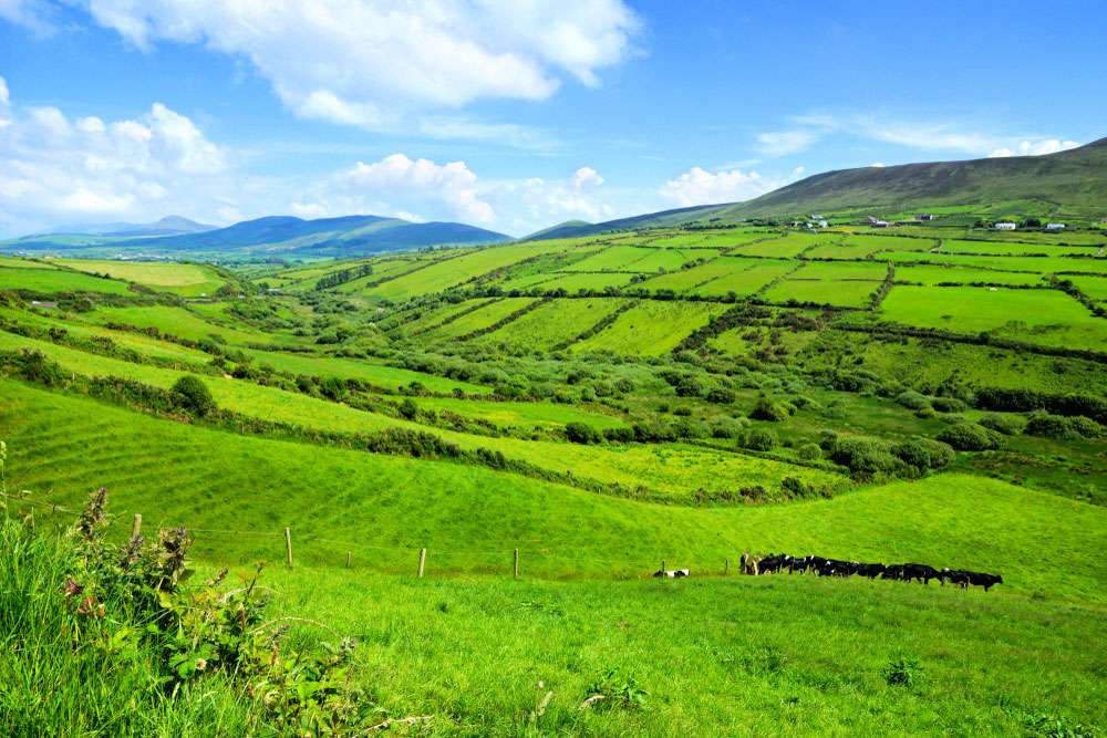 farming-in-ireland